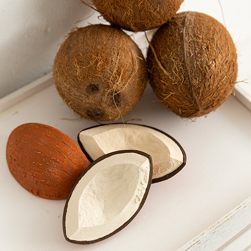 ココナッツのココちゃん Oli & Carol PLAY Department Store