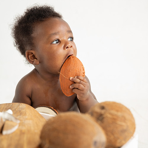 ココナッツのココちゃん Oli & Carol PLAY Department Store
