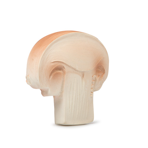 マッシュルームママ Amazon.co.jp: 日清フーズ マ・マー果肉ミートソース