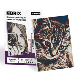 �A�C�e���C���[�W