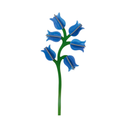 �J���[�o���G�[�V����